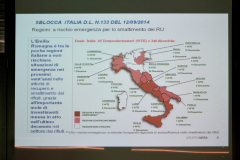 10_FRULLO-RELAZ-1