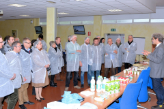 11_SIMILI-3-