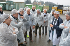 14_LANZELLA-1-