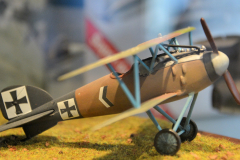 5_AEREO