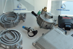visita LANDIRENZO 2014