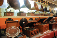 visita MUSEO PELAGALLI 2020