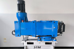 visita STM 2025
